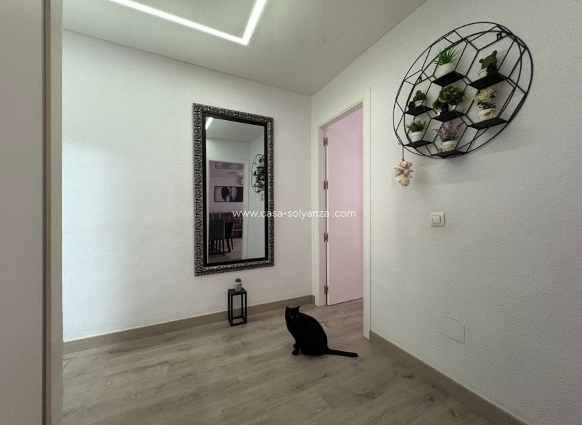 Wiederverkauf - Wohnung - Torrevieja - Costa Blanca