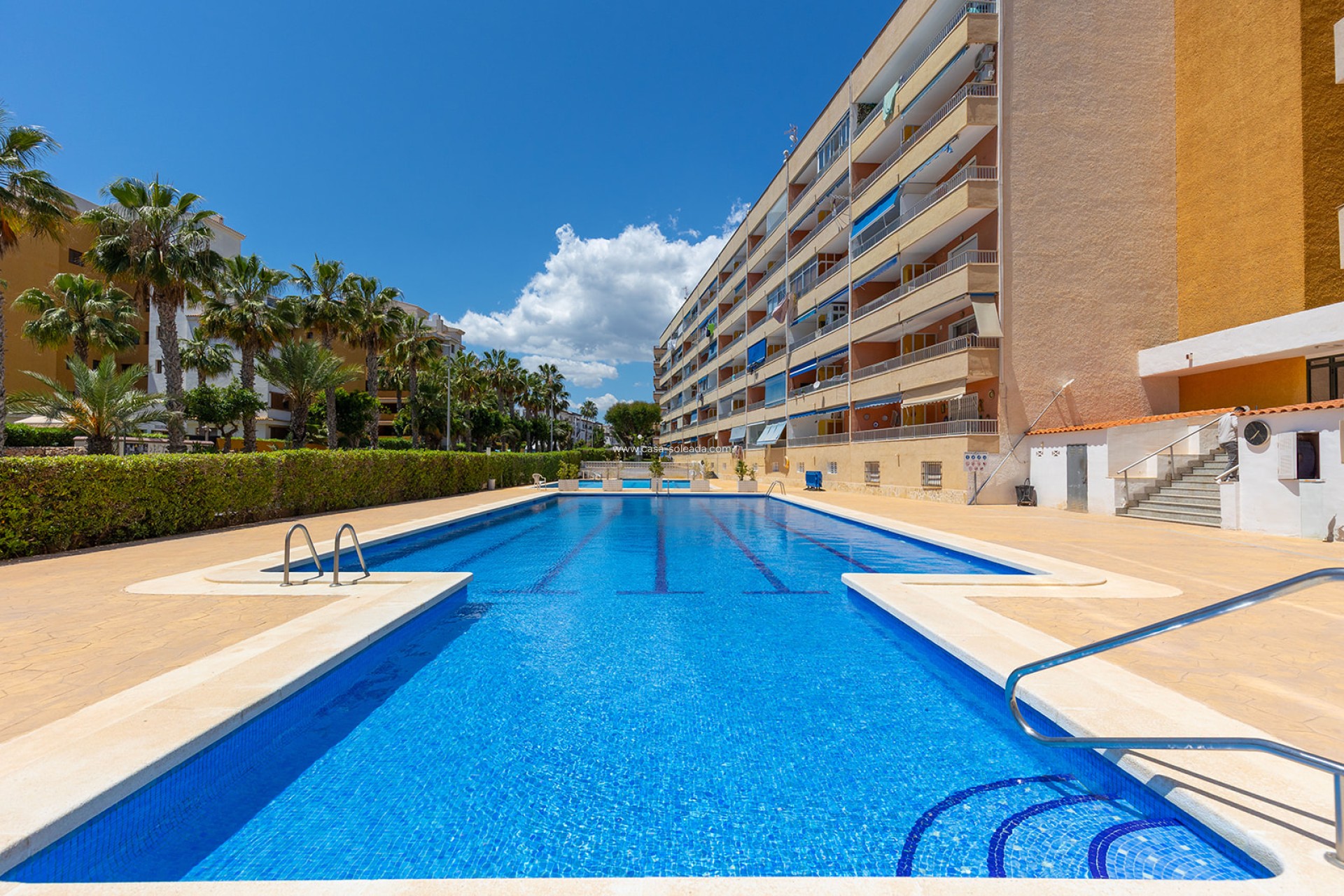 Wiederverkauf - Wohnung - Torrevieja - Costa Blanca