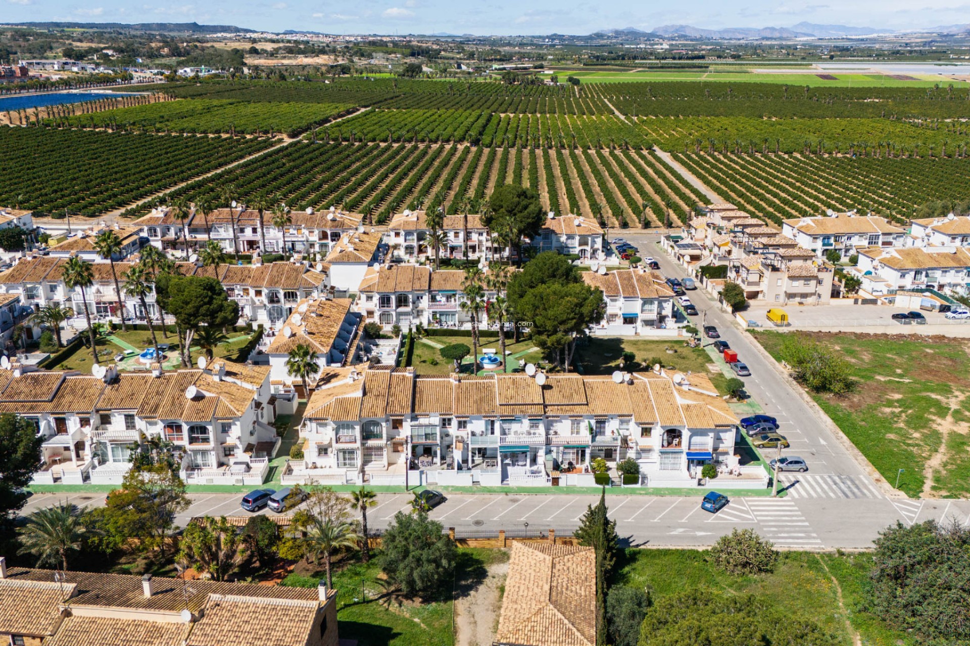 Wiederverkauf - Wohnung - Torrevieja - Costa Blanca