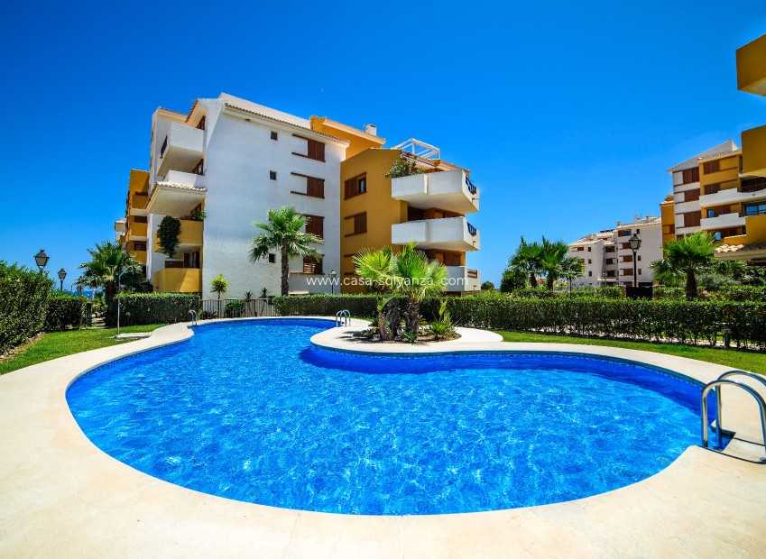Wiederverkauf - Wohnung - Torrevieja - Costa Blanca