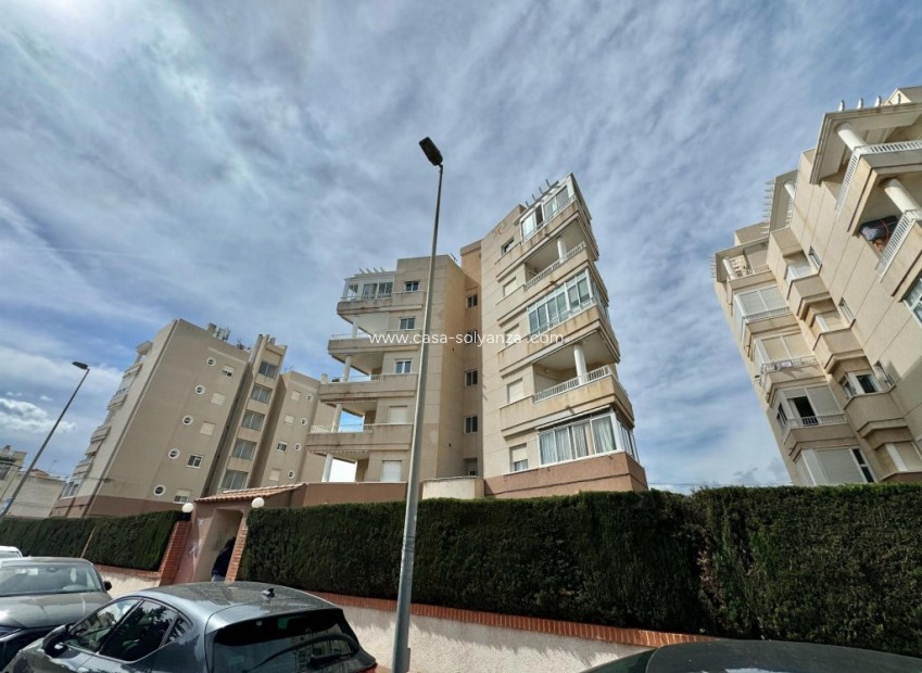 Wiederverkauf - Wohnung - Torrevieja - Costa Blanca