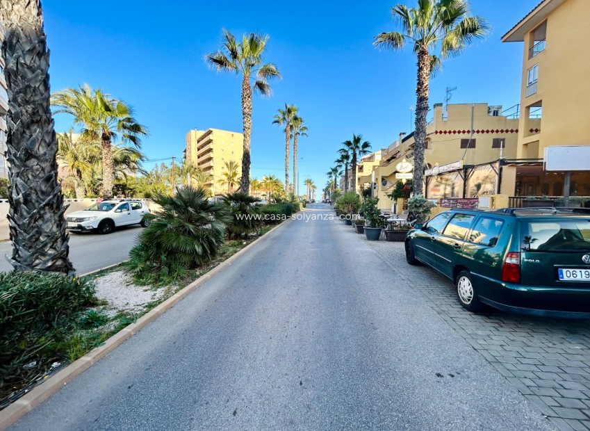 Wiederverkauf - Wohnung - Torrevieja - Costa Blanca
