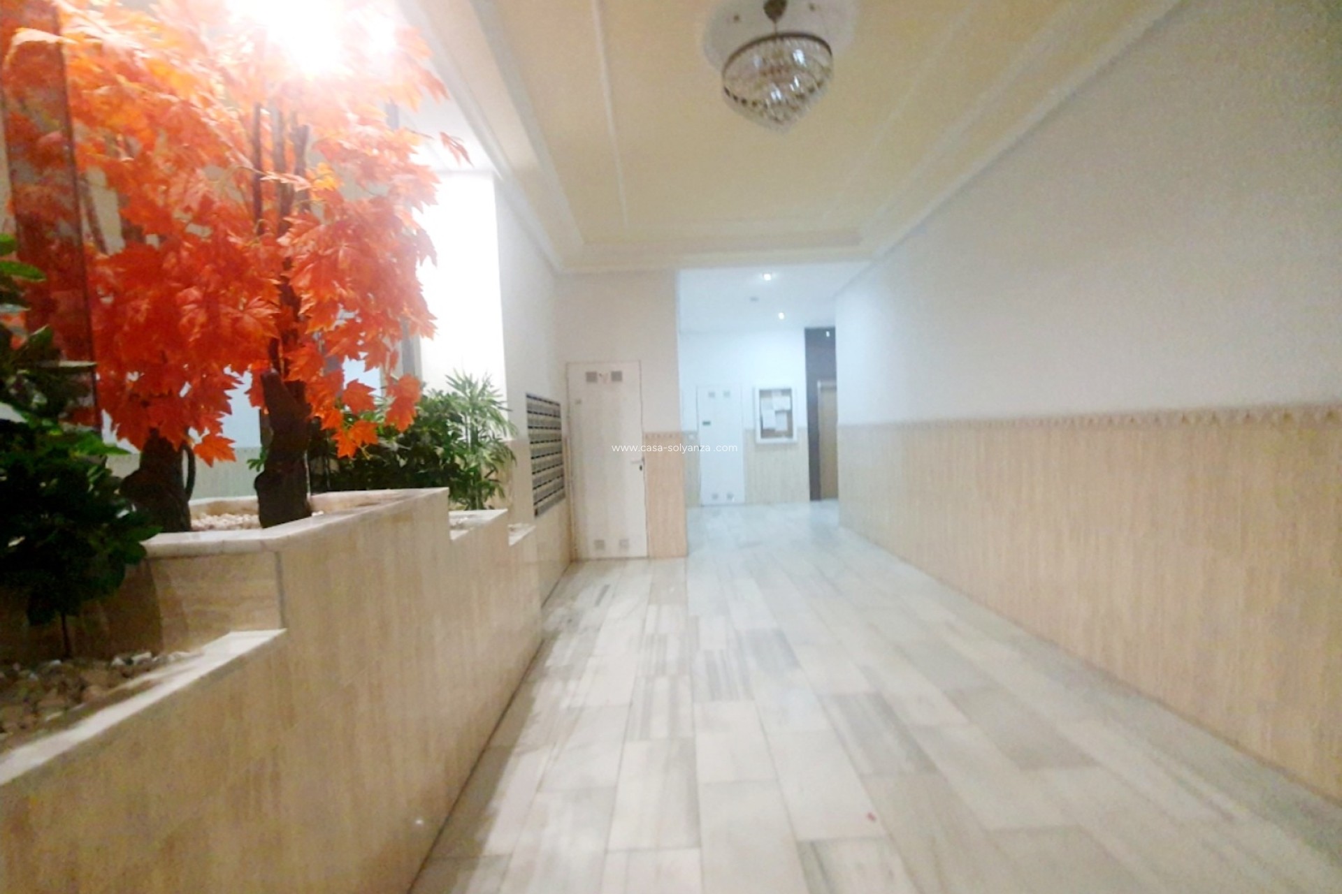 Wiederverkauf - Wohnung - Torrevieja - Costa Blanca