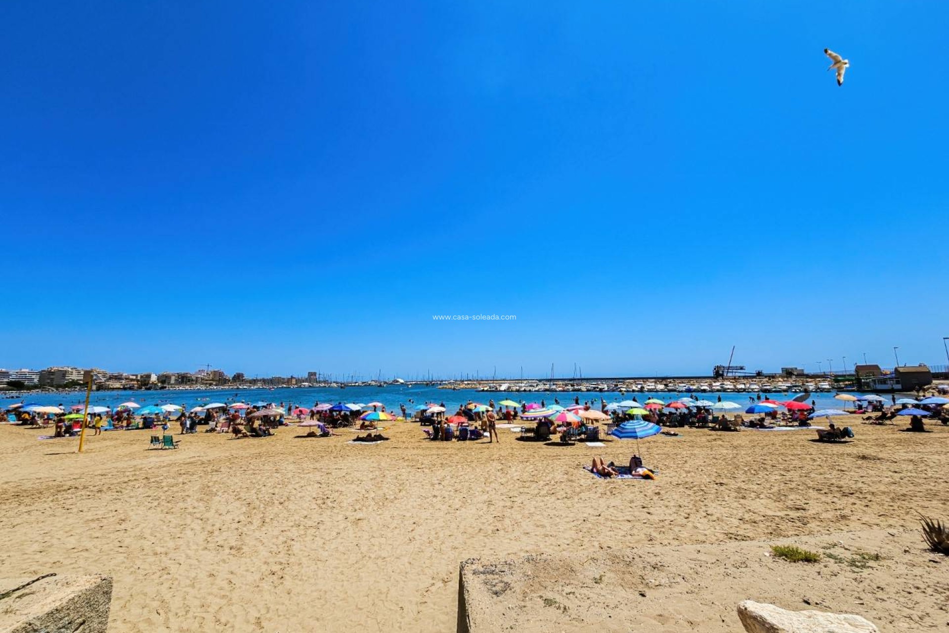 Wiederverkauf - Wohnung - Torrevieja - Costa Blanca