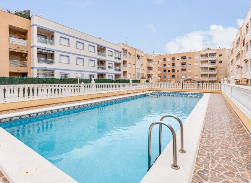 Wiederverkauf - Wohnung - Torrevieja - Costa Blanca