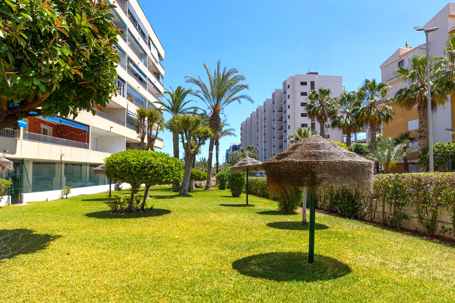 Wiederverkauf - Wohnung - Torrevieja - Costa Blanca