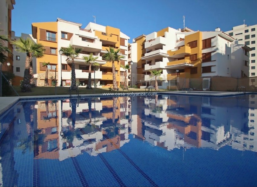 Wiederverkauf - Wohnung - Torrevieja - Costa Blanca