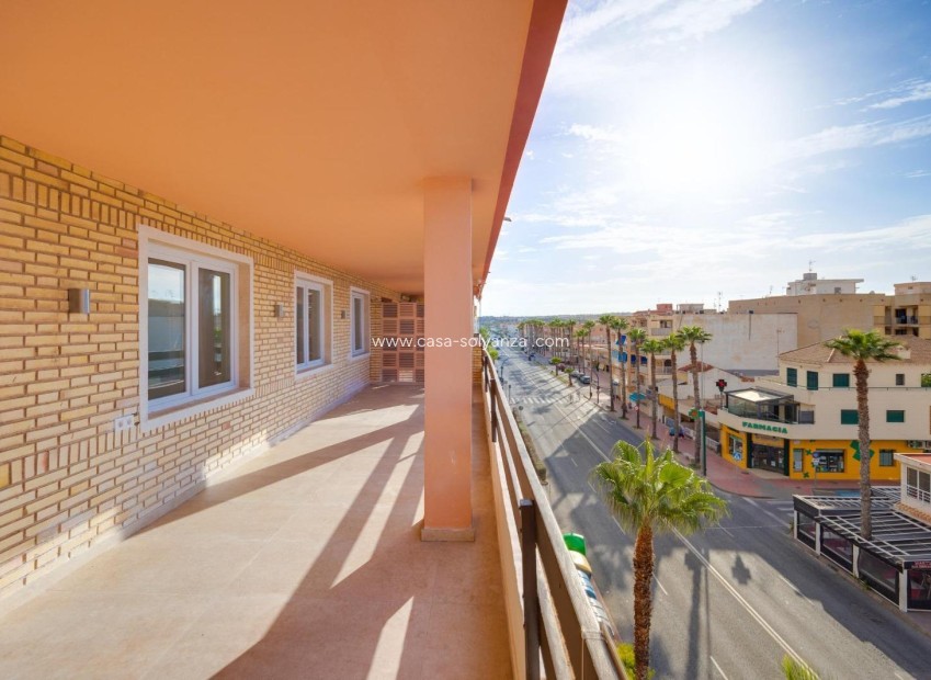 Wiederverkauf - Wohnung - Torrevieja - Costa Blanca