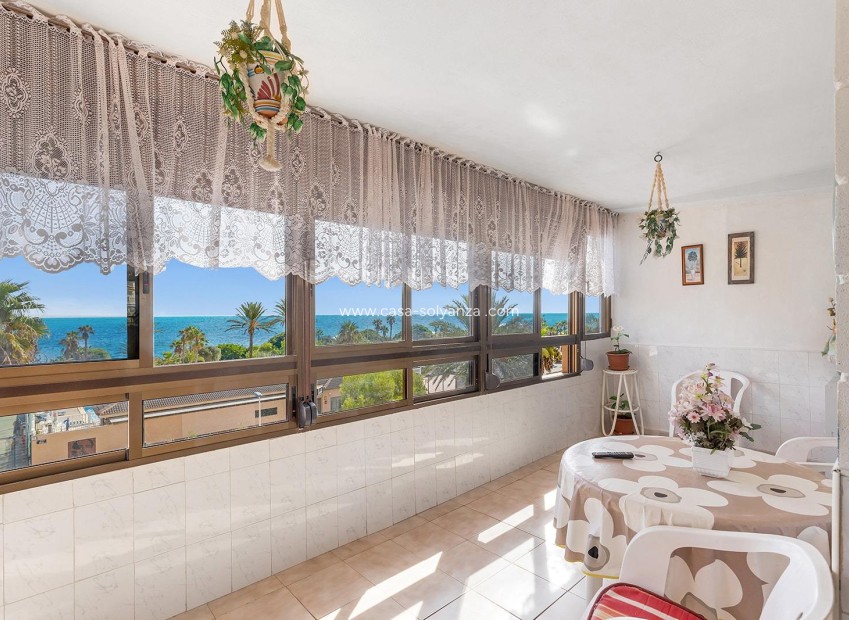 Wiederverkauf - Wohnung - Torrevieja - Costa Blanca