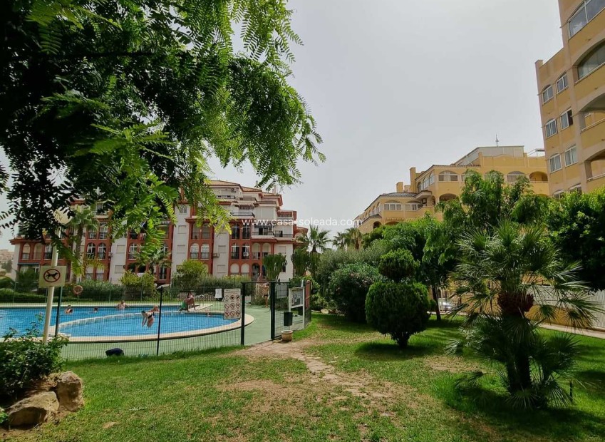 Wiederverkauf - Wohnung - Torrevieja - Costa Blanca