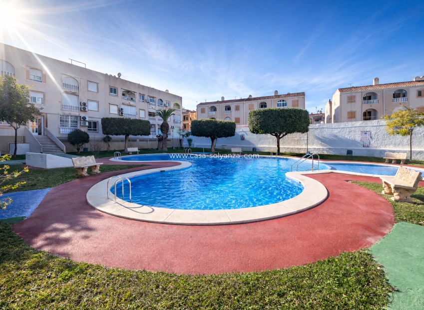 Wiederverkauf - Wohnung - Torrevieja - Costa Blanca