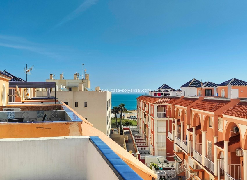 Wiederverkauf - Wohnung - Torrevieja - Costa Blanca