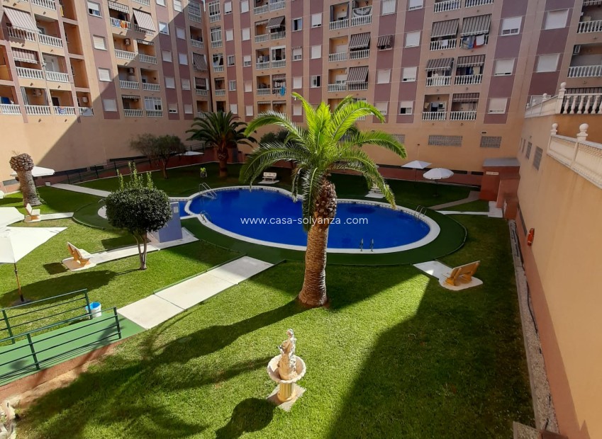Wiederverkauf - Wohnung - Torrevieja - Costa Blanca