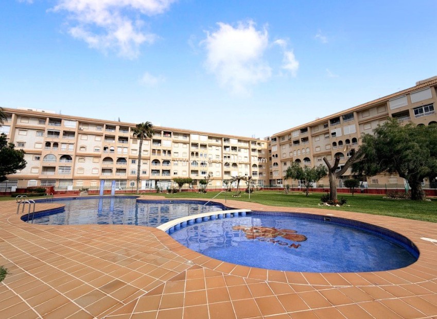 Wiederverkauf - Wohnung - Torrevieja - Costa Blanca
