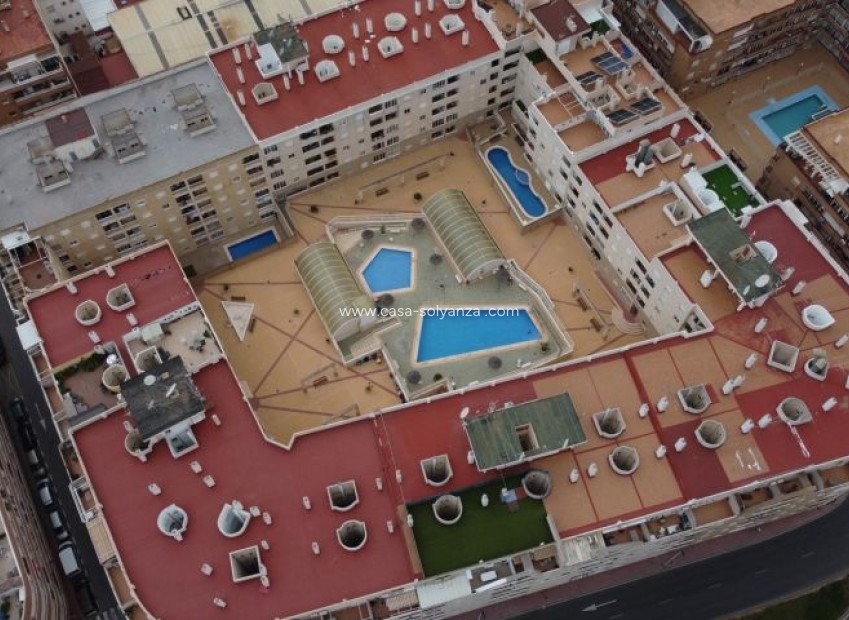 Wiederverkauf - Wohnung - Torrevieja - Costa Blanca