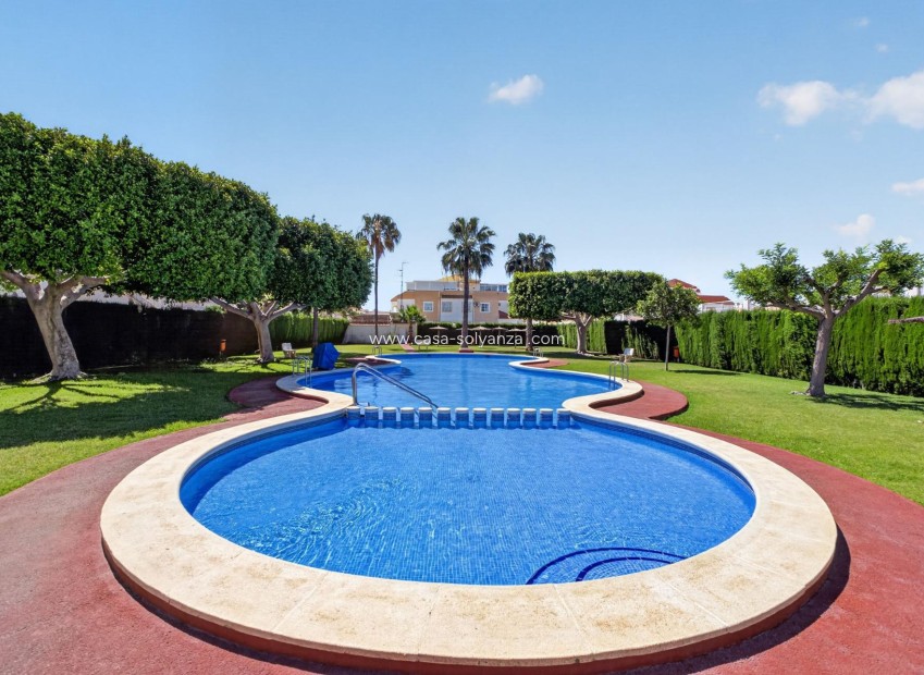 Wiederverkauf - Wohnung - Torrevieja - El Limonar