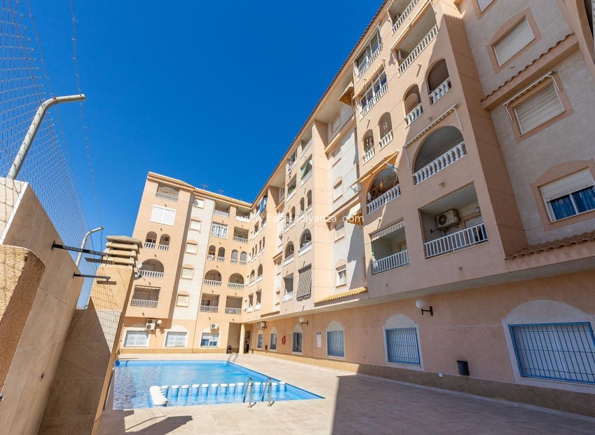 Wiederverkauf - Wohnung - Torrevieja - El Molino