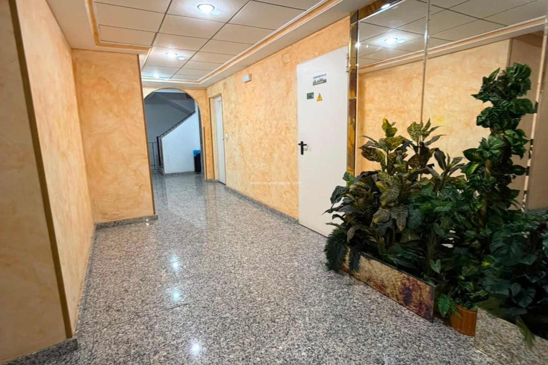 Wiederverkauf - Wohnung - Torrevieja - Estacion Autobuses