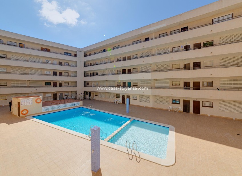 Wiederverkauf - Wohnung - Torrevieja - Estacion Autobuses