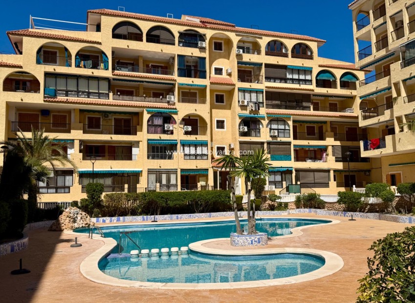 Wiederverkauf - Wohnung - Torrevieja - La Mata