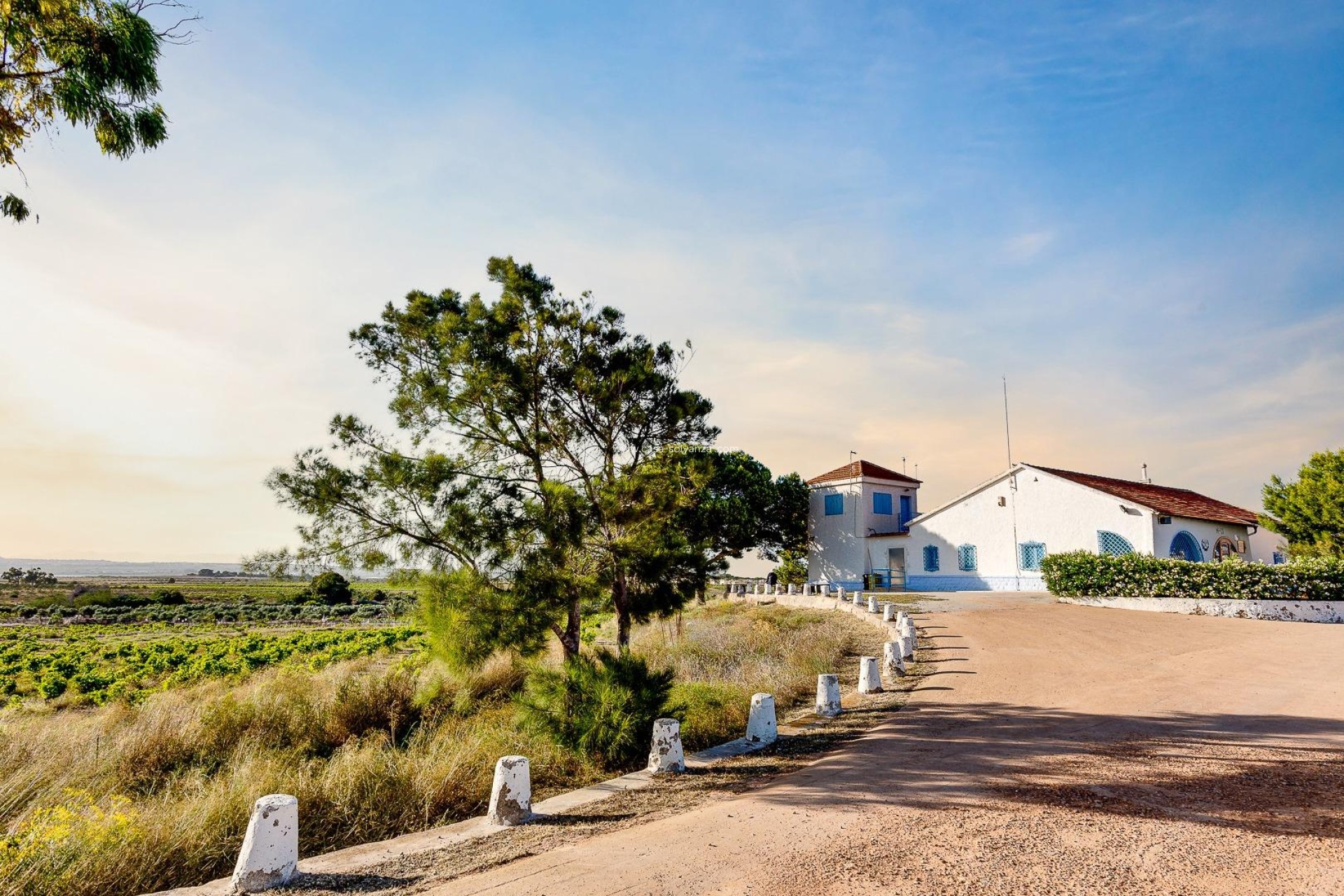 Wiederverkauf - Wohnung - Torrevieja - La Siesta