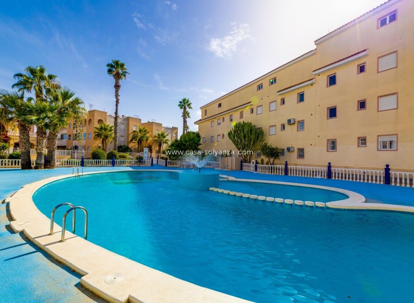 Wiederverkauf - Wohnung - Torrevieja - La Siesta