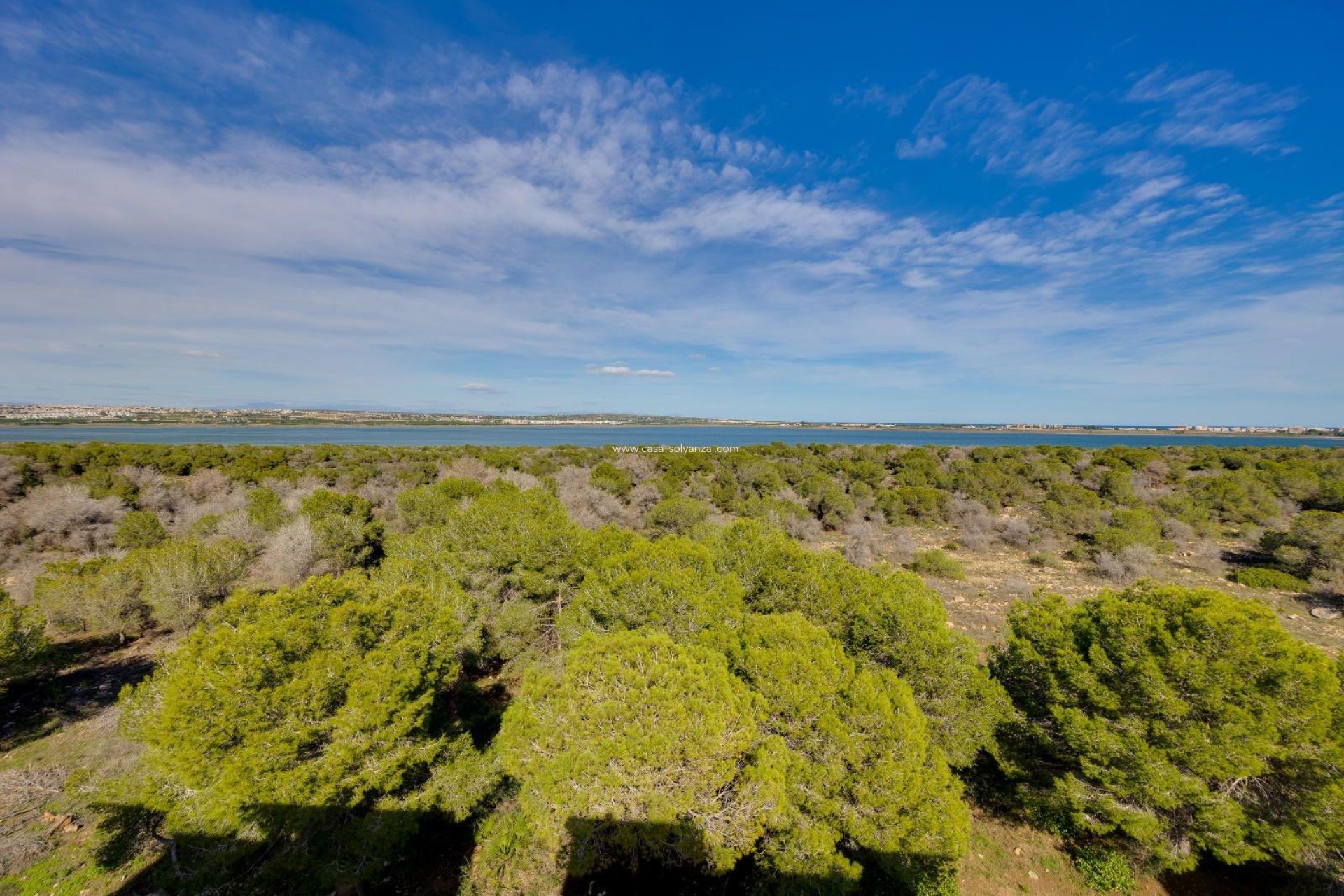 Wiederverkauf - Wohnung - Torrevieja - La Siesta
