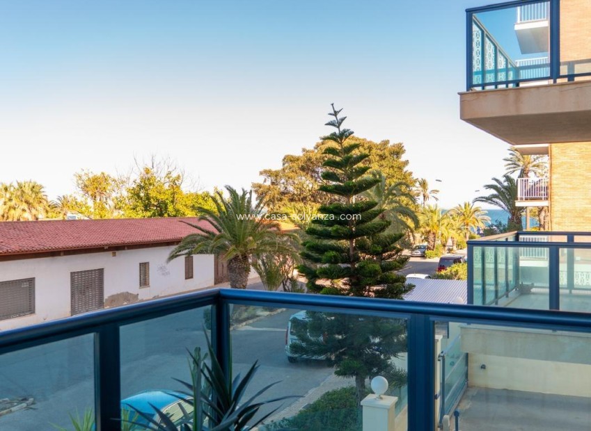 Wiederverkauf - Wohnung - Torrevieja - La veleta