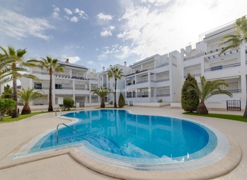Wiederverkauf - Wohnung - Torrevieja - La veleta