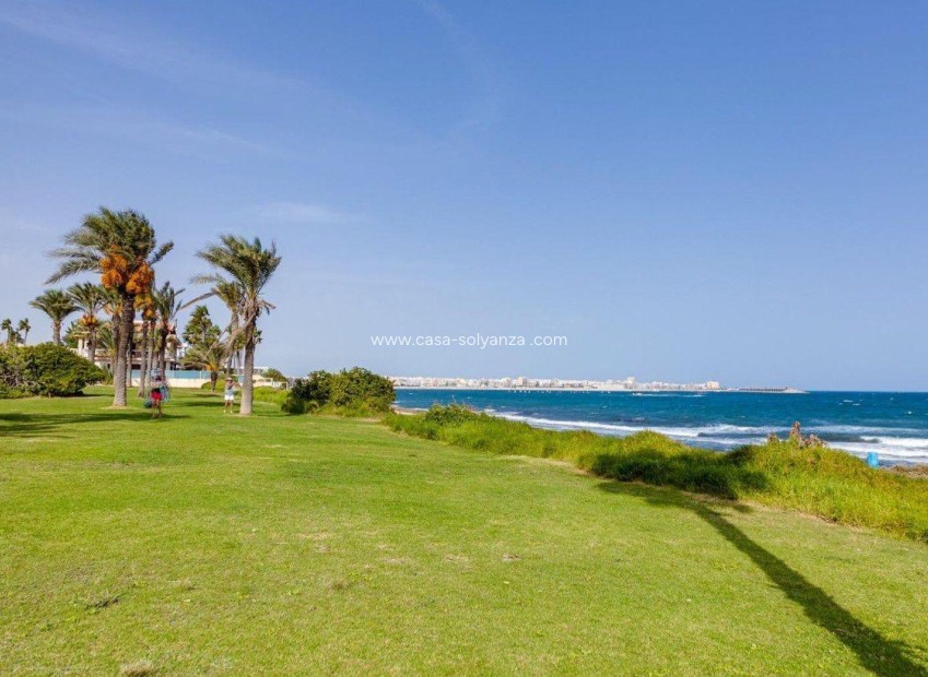 Wiederverkauf - Wohnung - Torrevieja - La veleta