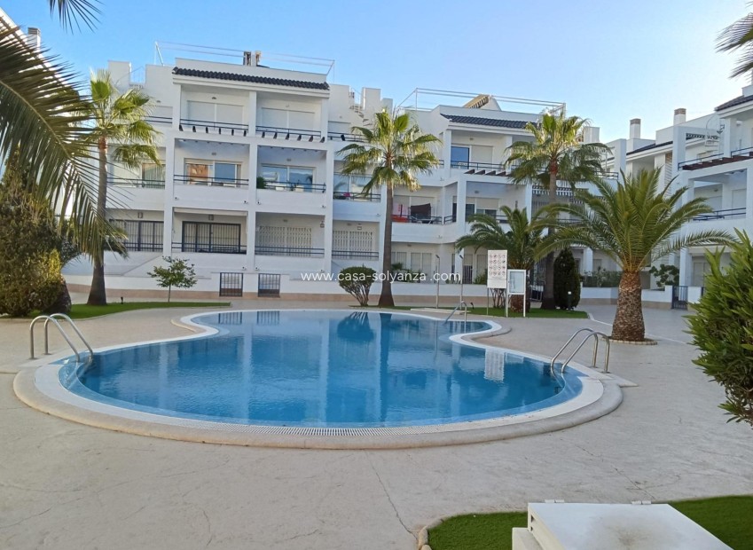 Wiederverkauf - Wohnung - Torrevieja - La veleta