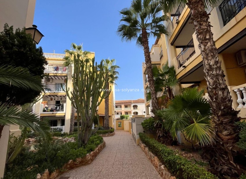 Wiederverkauf - Wohnung - Torrevieja - Los Frutales