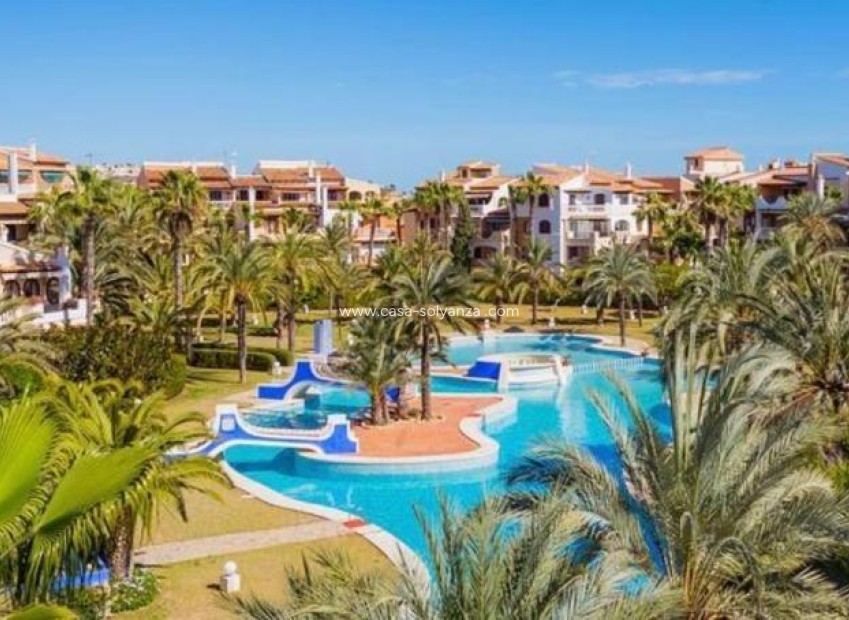 Wiederverkauf - Wohnung - Torrevieja - Los Frutales