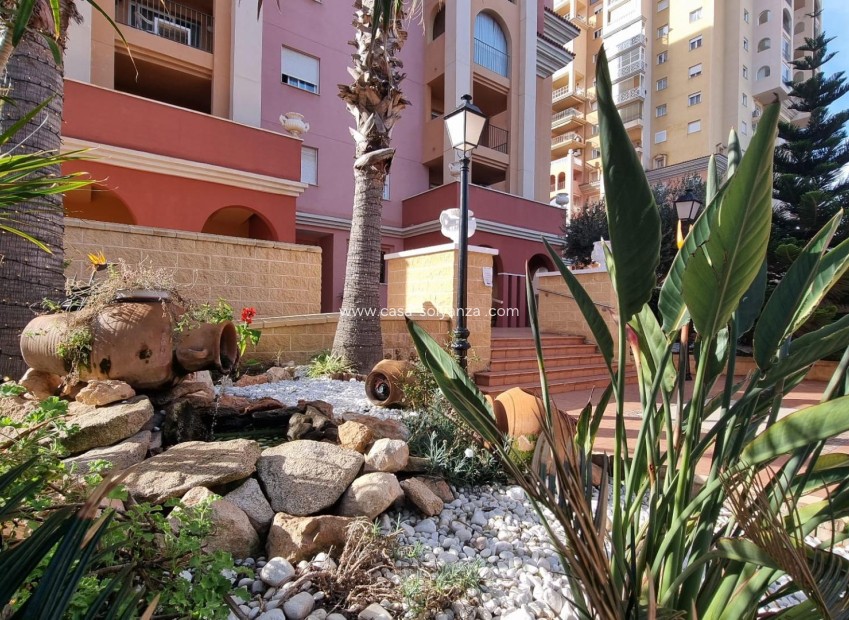 Wiederverkauf - Wohnung - Torrevieja - Los Frutales