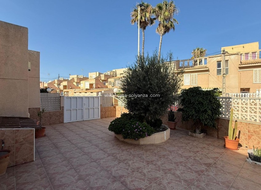 Wiederverkauf - Wohnung - Torrevieja - Los Frutales