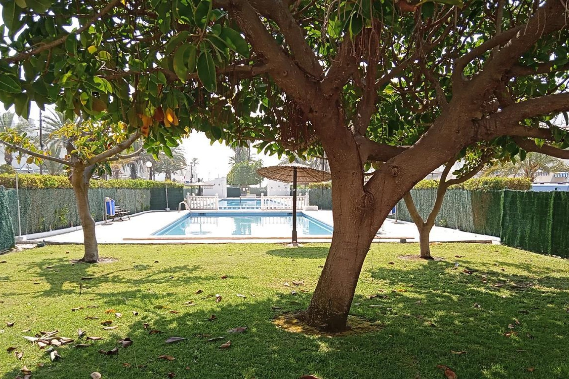 Wiederverkauf - Wohnung - Torrevieja - MAR AZUL LA VELETA