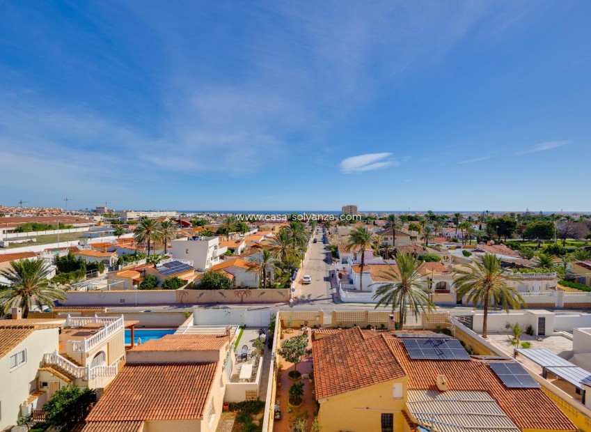 Wiederverkauf - Wohnung - Torrevieja - Nueva Torrevieja