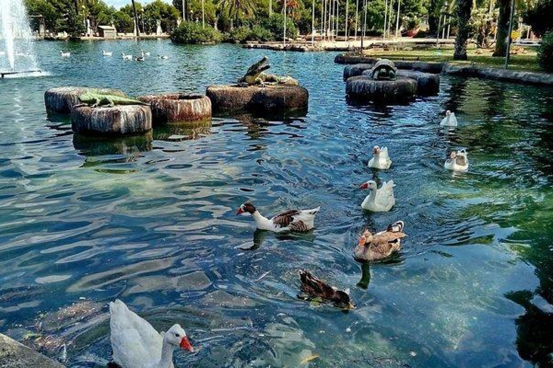 Wiederverkauf - Wohnung - Torrevieja - PARQUE DE LAS NACIONES