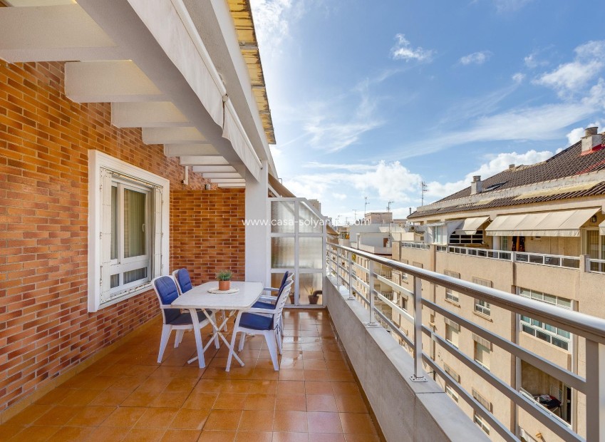 Wiederverkauf - Wohnung - Torrevieja - Paseo Maritimo