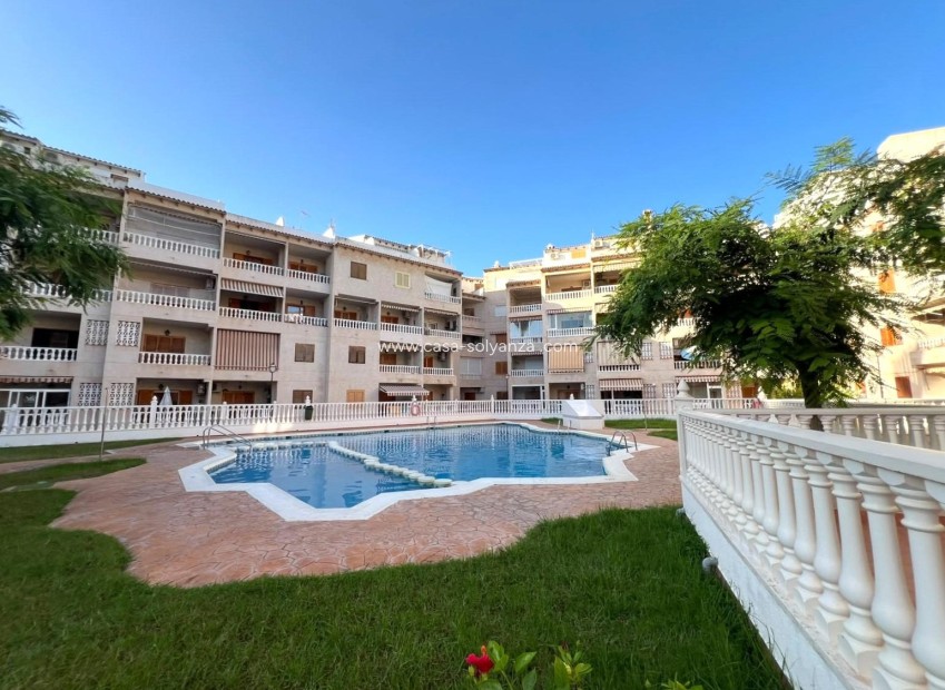 Wiederverkauf - Wohnung - Torrevieja - Playa de los Locos