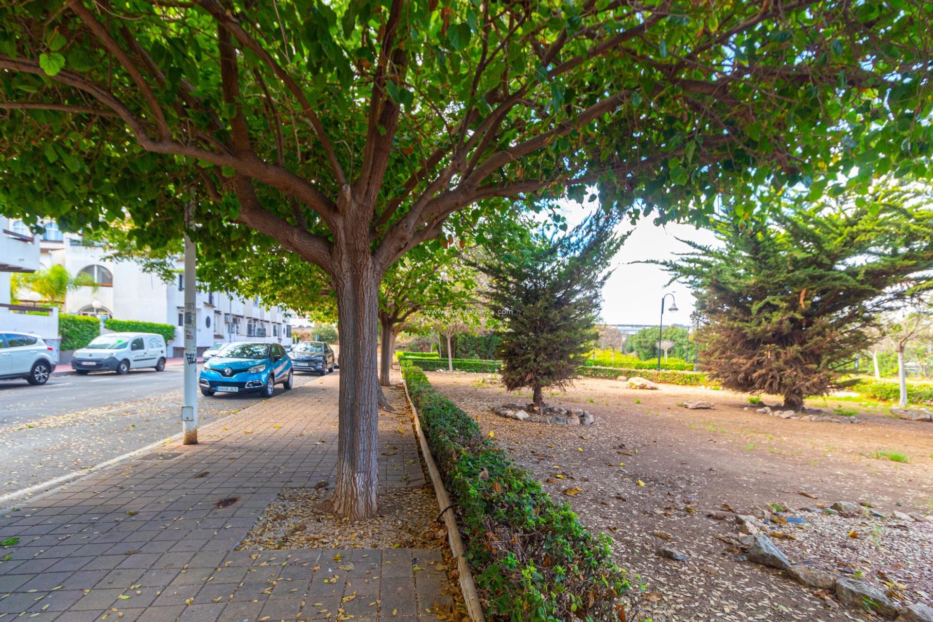 Wiederverkauf - Wohnung - Torrevieja - Playa de los Naufragos