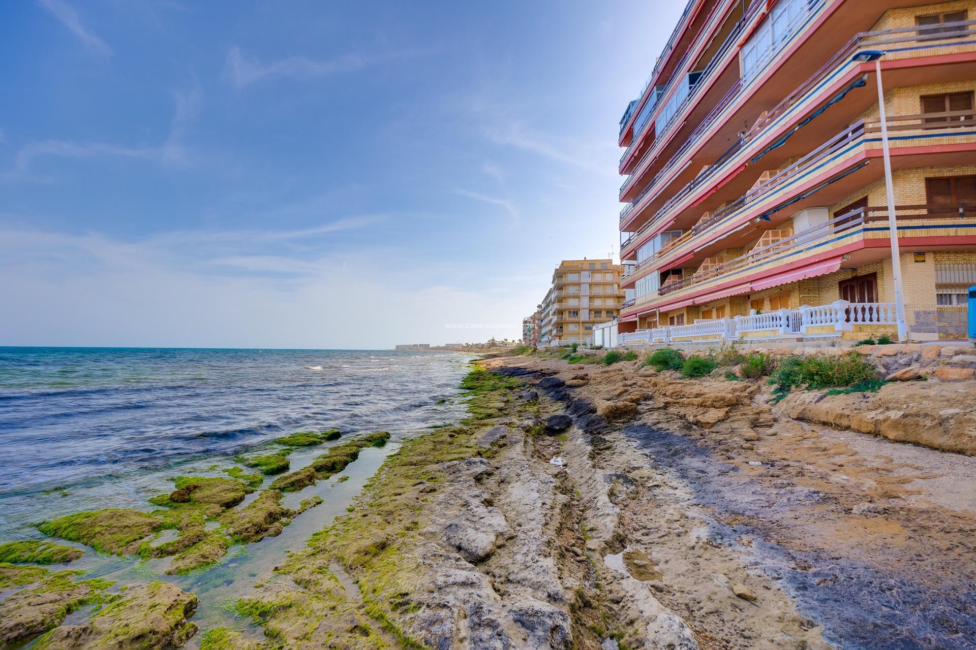Wiederverkauf - Wohnung - Torrevieja - Playa De Los Naufragos