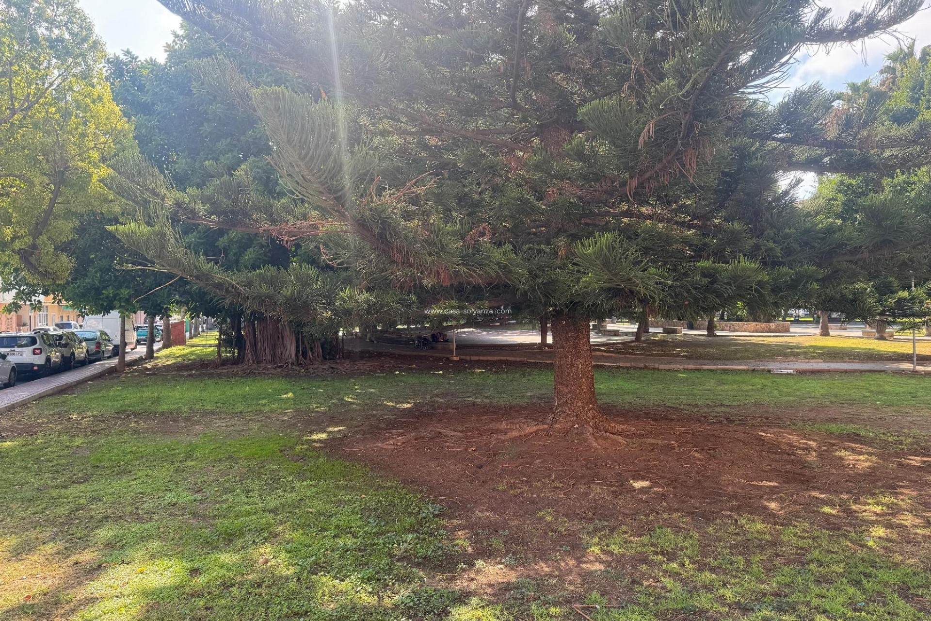 Wiederverkauf - Wohnung - Torrevieja - Playa del Acequión