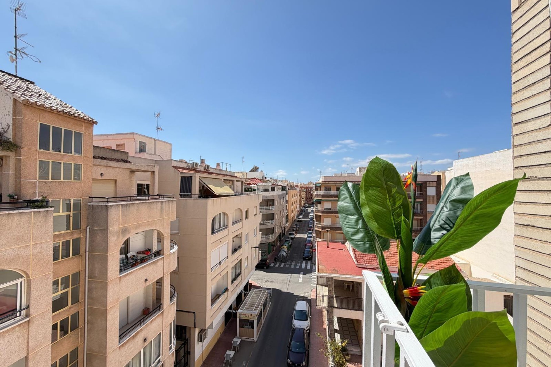 Wiederverkauf - Wohnung - Torrevieja - Playa del Cura