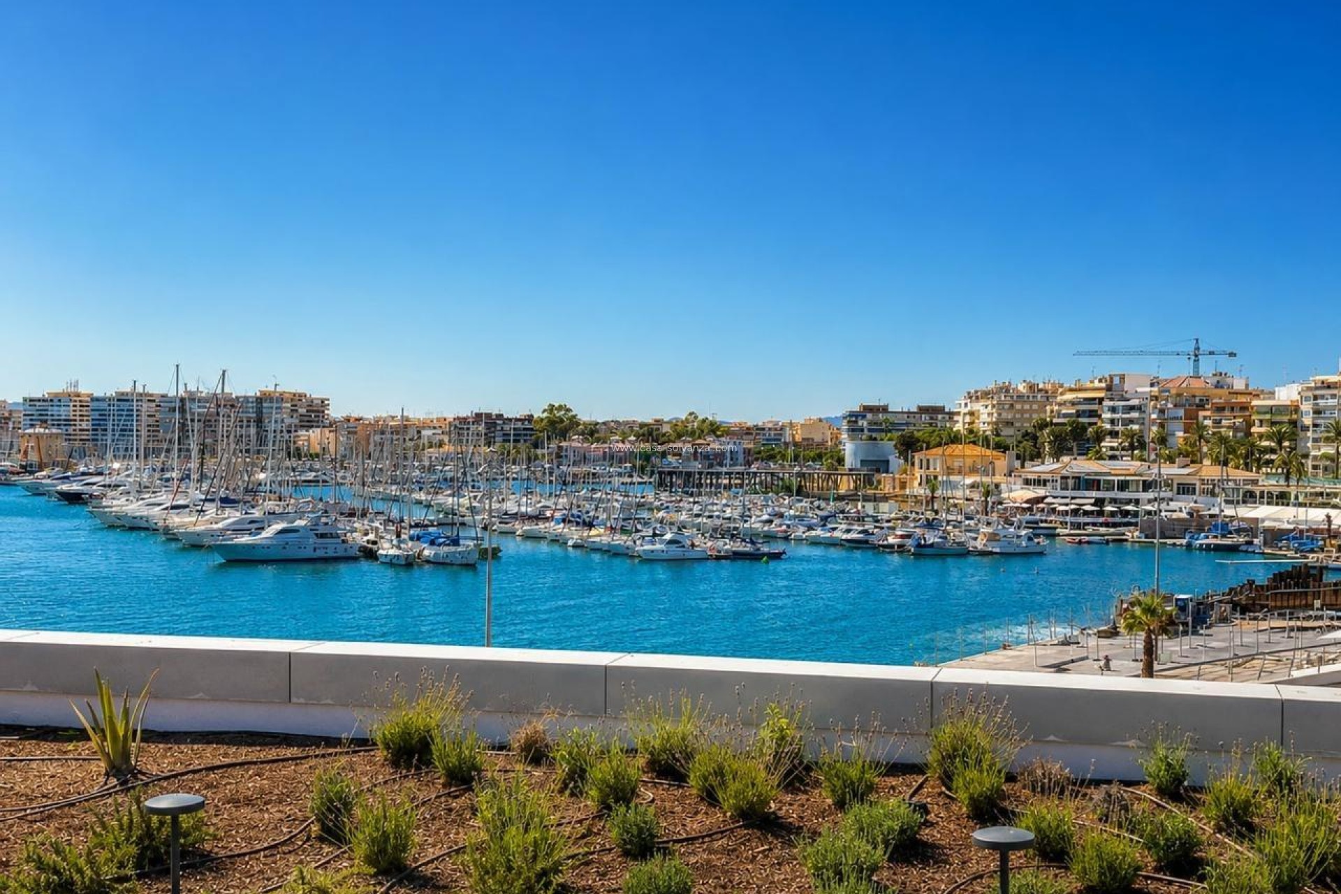 Wiederverkauf - Wohnung - Torrevieja - Playa del Cura