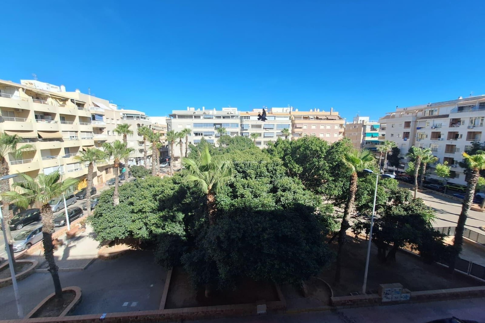 Wiederverkauf - Wohnung - Torrevieja - Playa del Cura