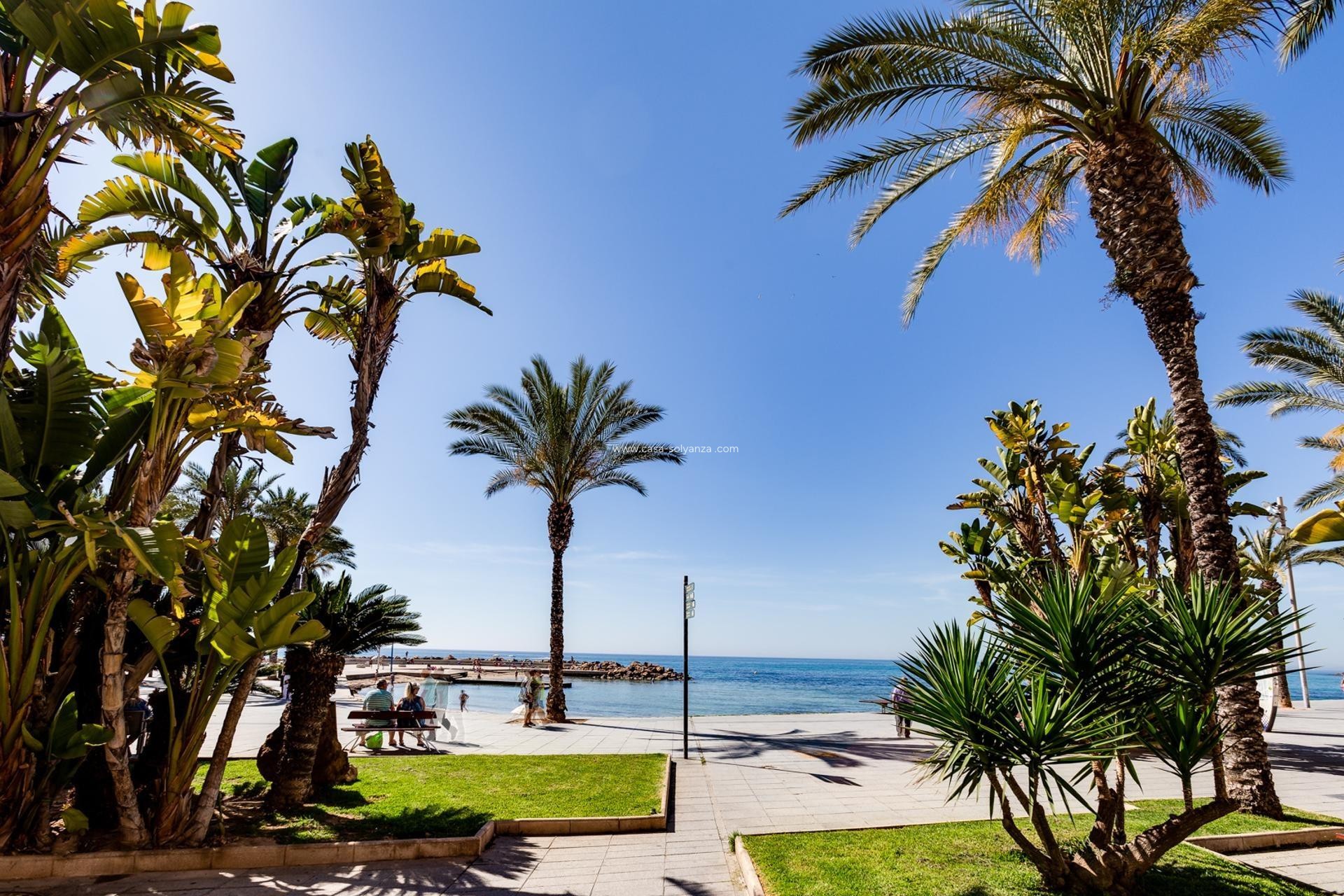 Wiederverkauf - Wohnung - Torrevieja - Playa del Cura