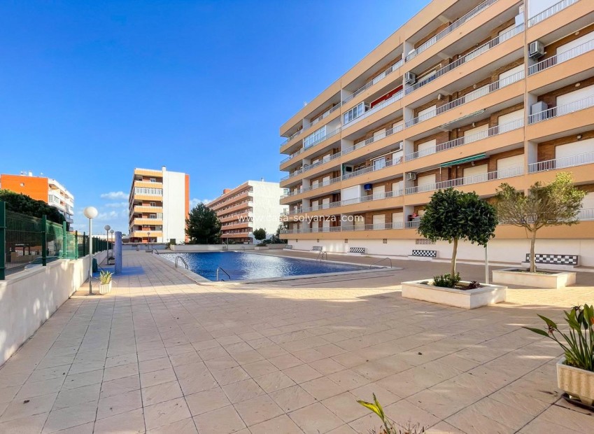 Wiederverkauf - Wohnung - Torrevieja - Punta Prima