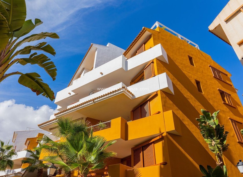 Wiederverkauf - Wohnung - Torrevieja - Punta Prima