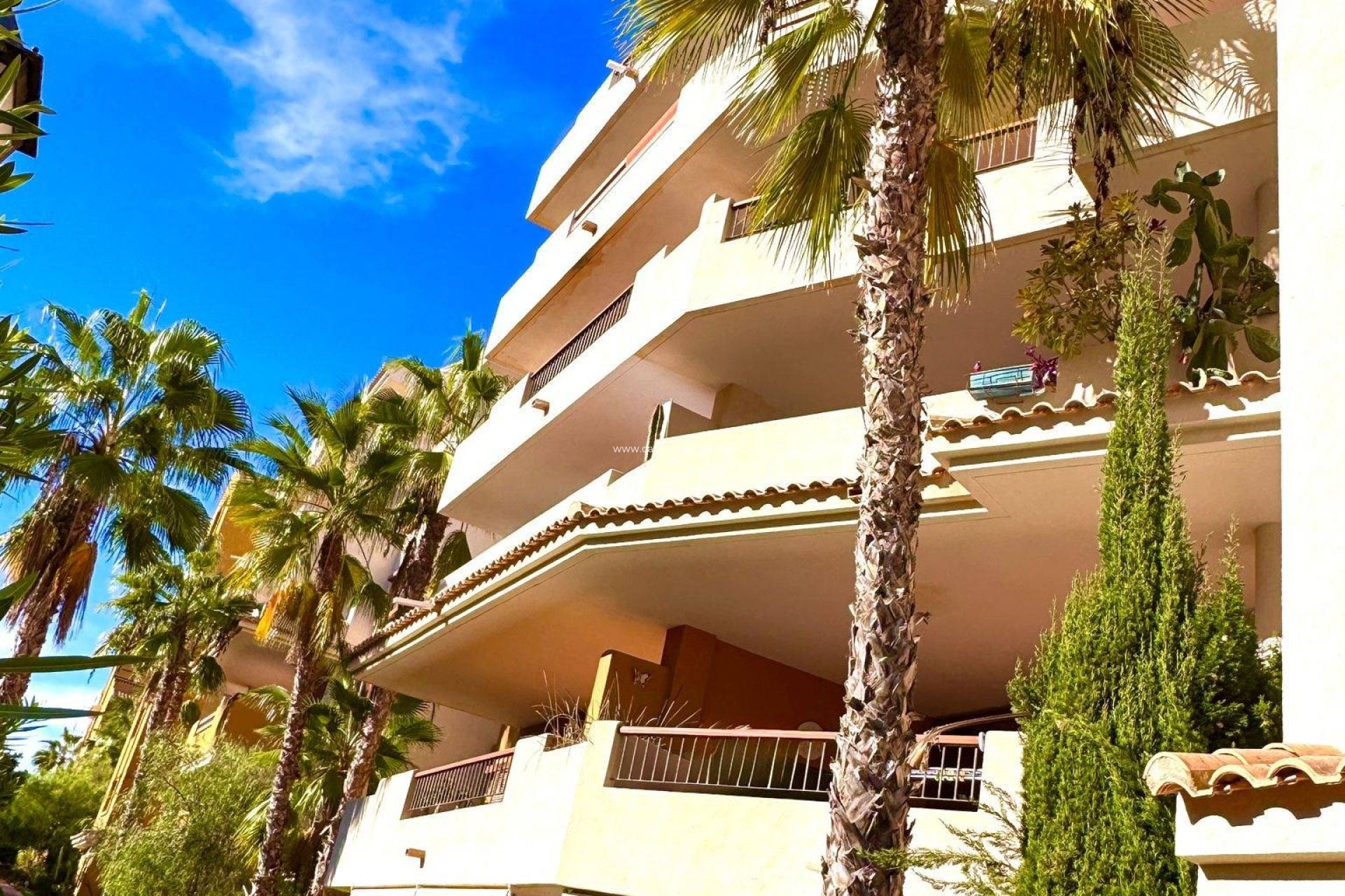 Wiederverkauf - Wohnung - Torrevieja - Punta Prima